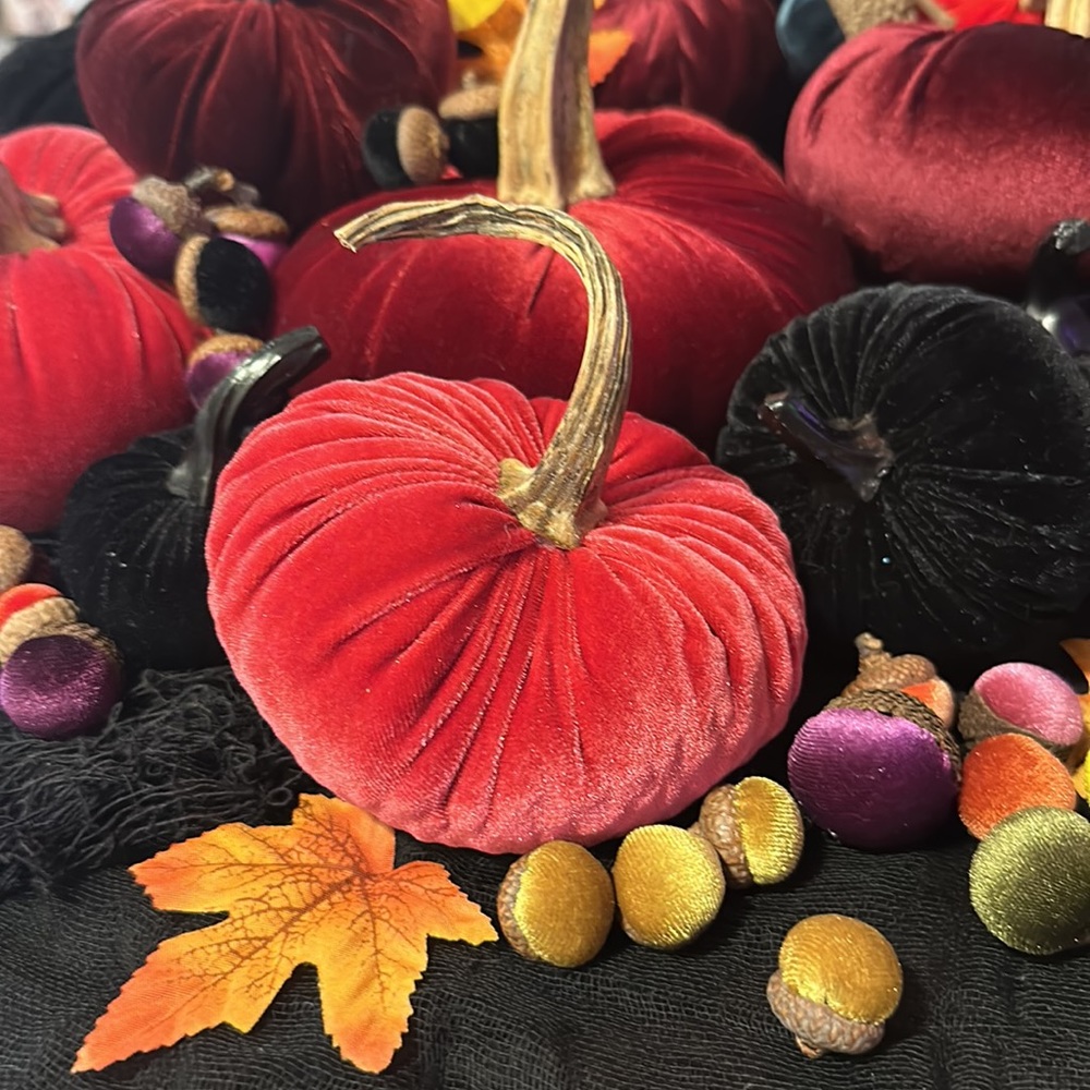 Velvet Pumpkins. - Picture 4 of 13